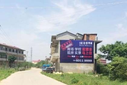 益阳信息产品指南 高效助力企业发展与个人提升